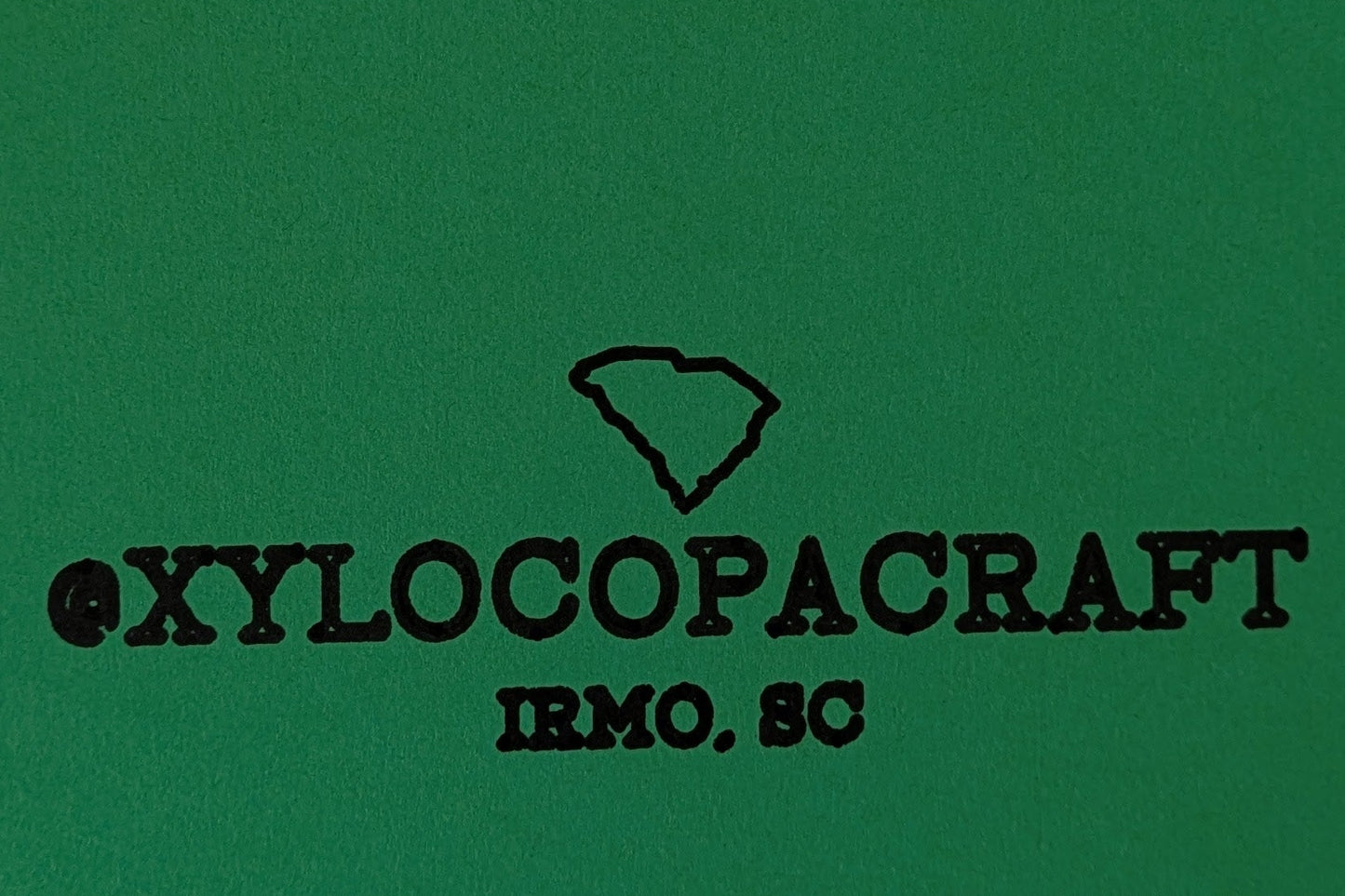 Yellow Spotted Salamander