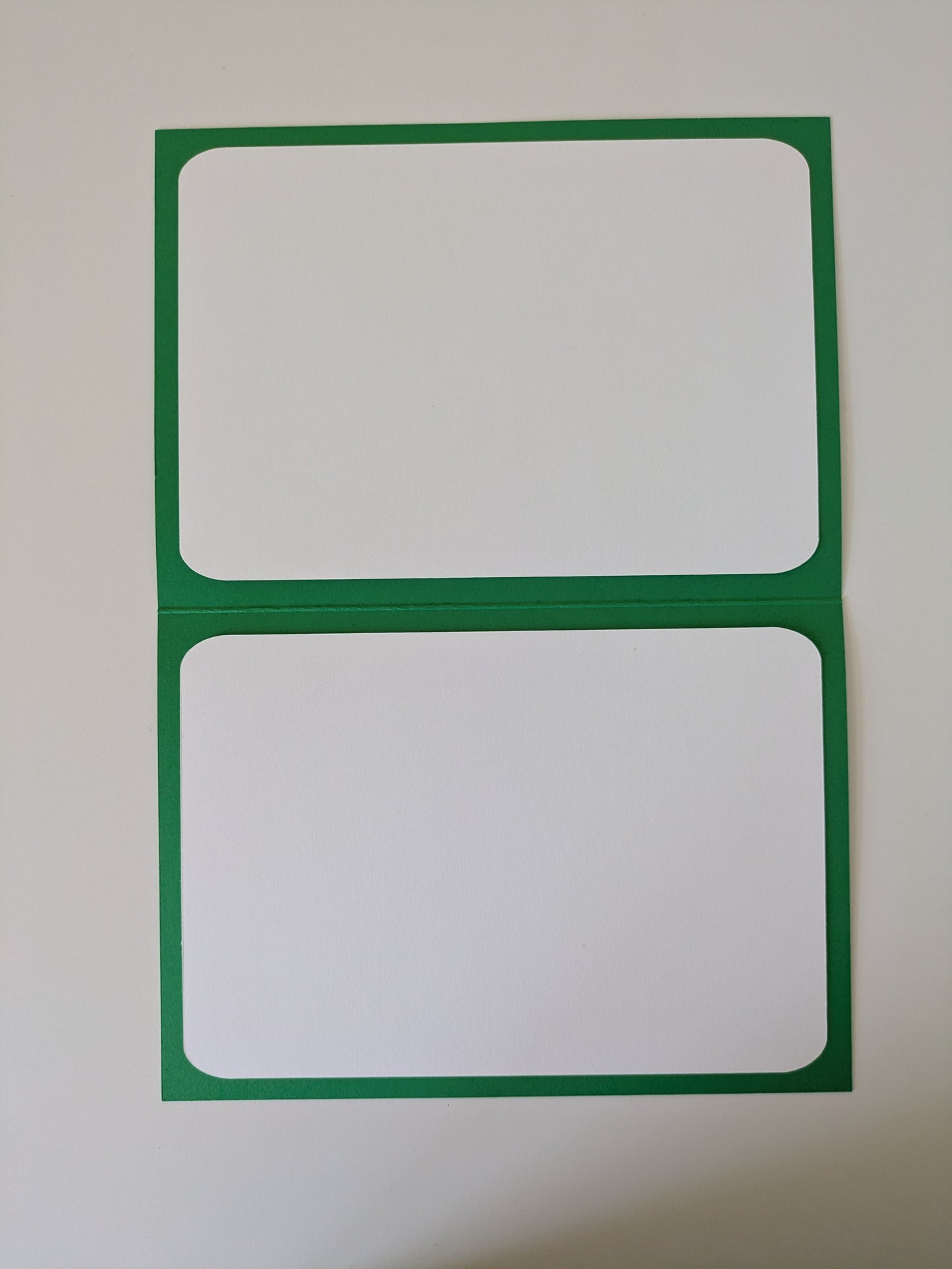 Yellow Spotted Salamander